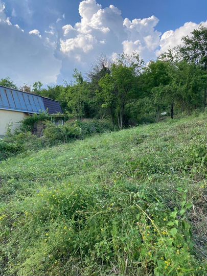 Участок 6 сот. (ИЖС)