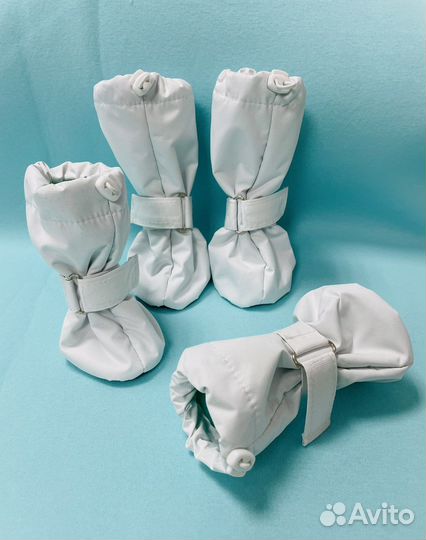 Обувь для собак