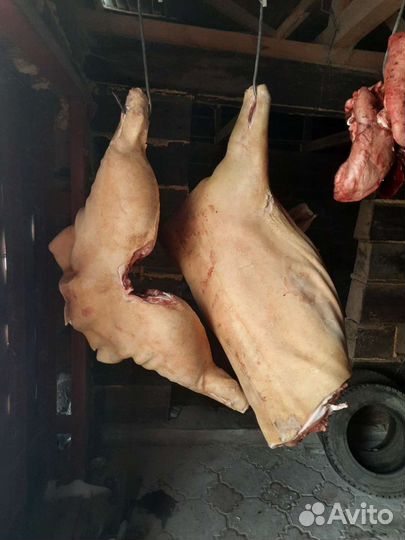 Мясо свинина