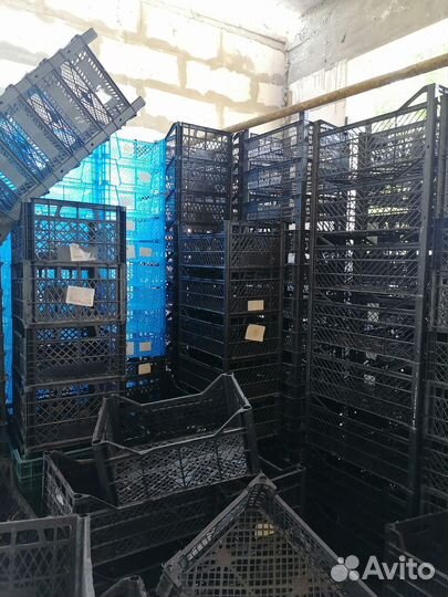 Пластиковые ящики для хранения овощей