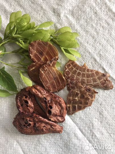 Лакомства для собак