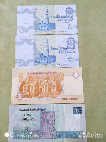Боны и монеты.Египет.1984-2012 гг