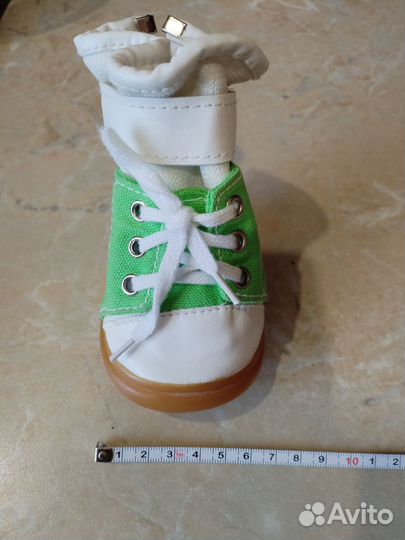 Ботинки для собак