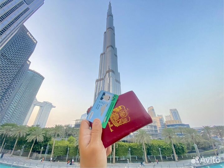 Цифровое гражданство Доминика