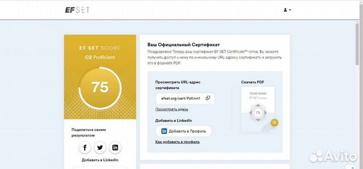 Репетитор по английскому языку для взрослых