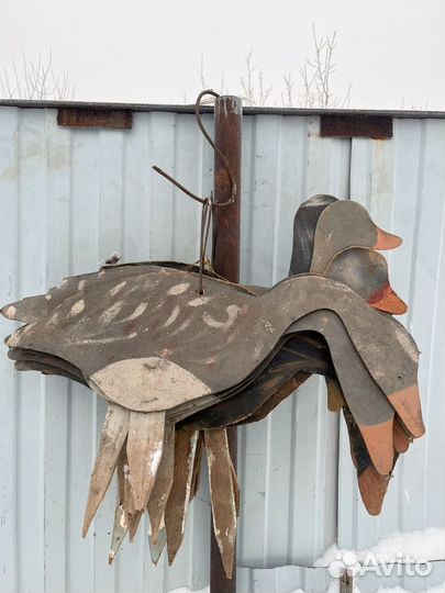 Гусиные профиля