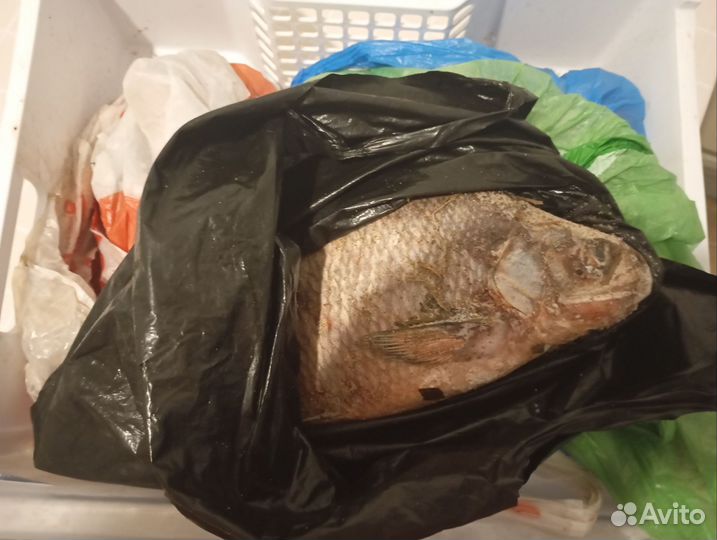 Свежемороженная рыба