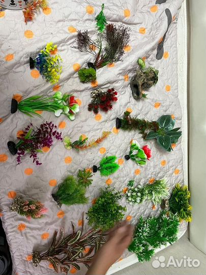 Корма для птиц и других животных