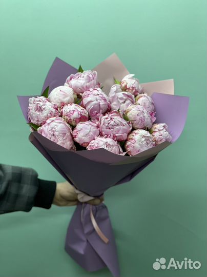 Пионы Галанский