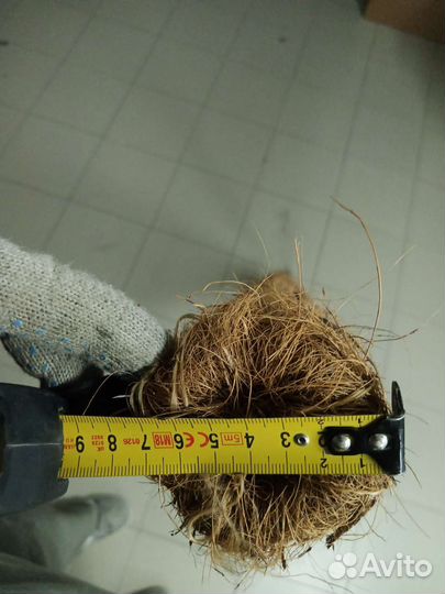 Опора для растений с кокосовым волокном