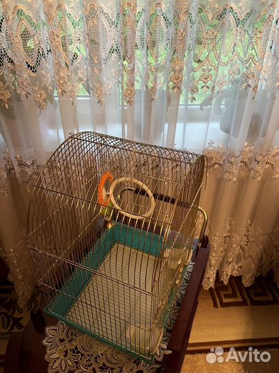 Клетка для волнистого попугая и канареек