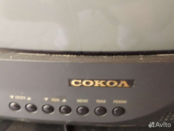 Два телевизора Philips и сокол