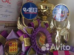 Стаффордширский бультерьер