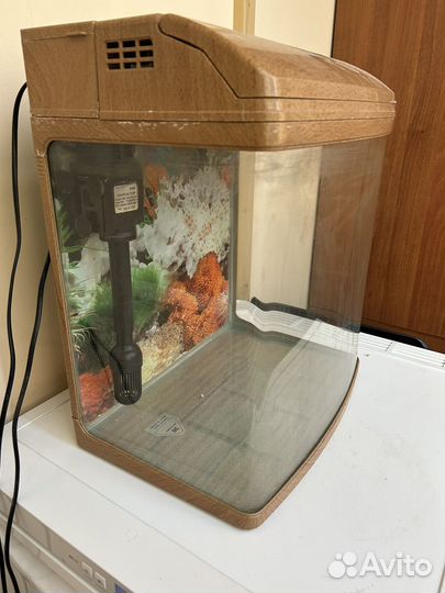 Аквариум
