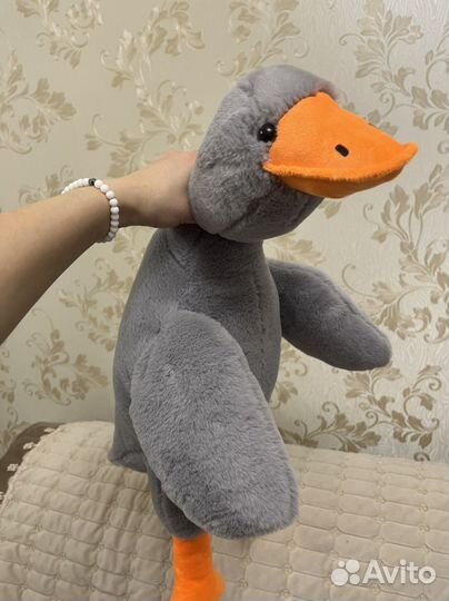 Гусь обнимусь