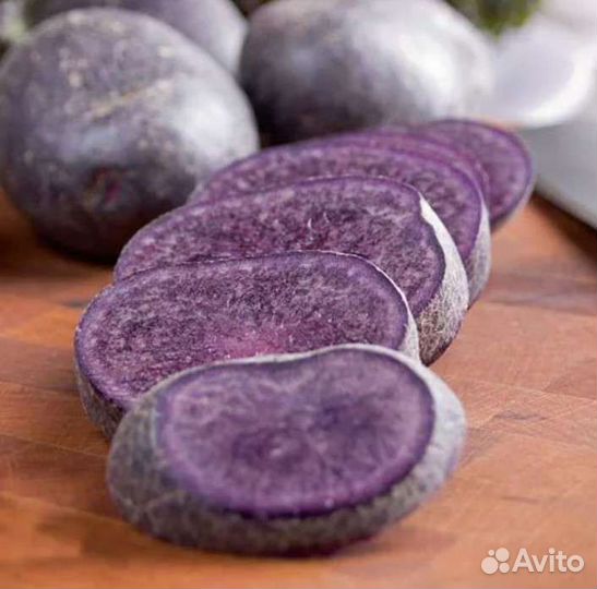 Картофель фиолетовый картошка