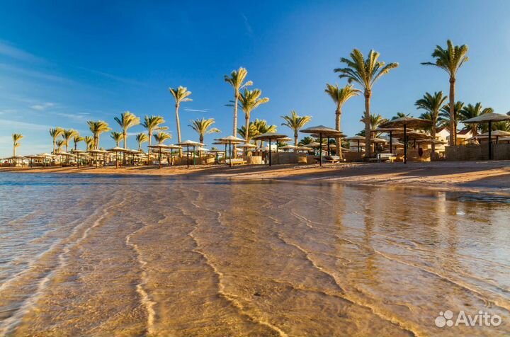 Путевка в Египет от 1 чел