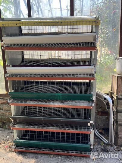 Для перепелок