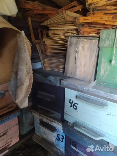 Ульи, рамки, магазины, медогонка, дымари и другое