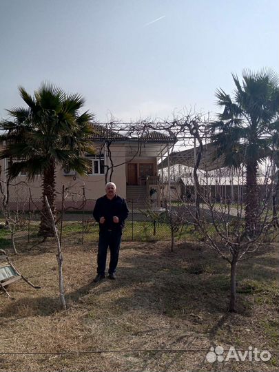 Строительство домов