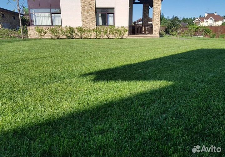 Рулонный газон Универсальный под ключ