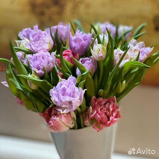 Тюльпаны опт и розница