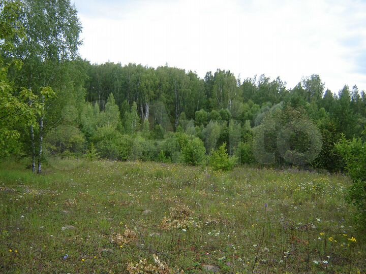 Участок 15 сот. (ИЖС)