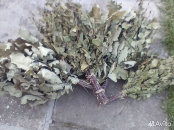 Веники береза, дуб