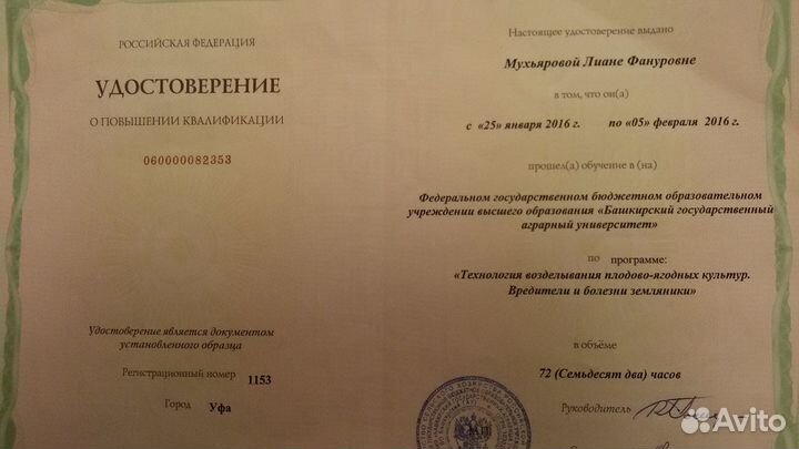 Саженцы яблони,груши питомник Шамонино