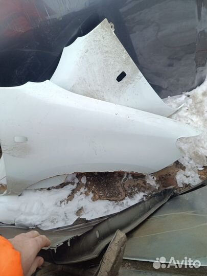 Крылья тоета