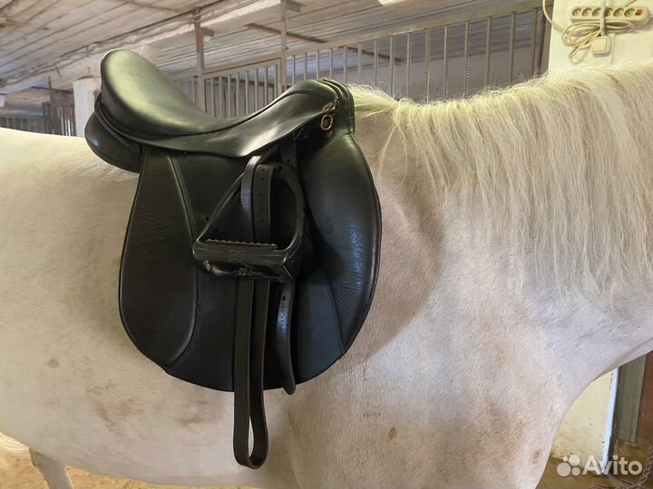 Седло конкурное sommer diplomat