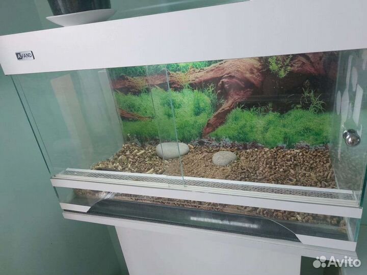 Террариум для сухопутной черепахи
