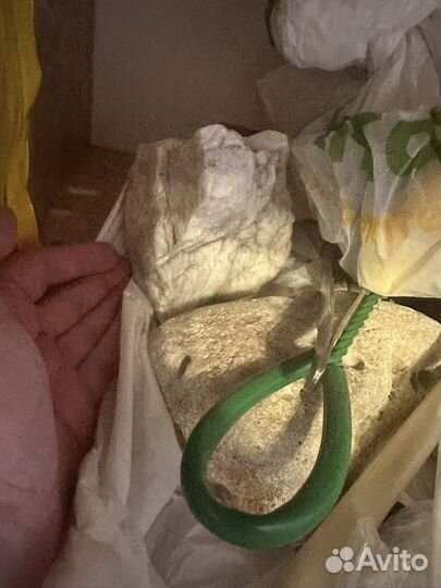 Аквариумистика жидкости сачки камни