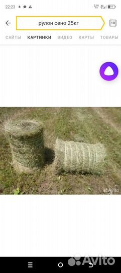 Продажа сена рулон