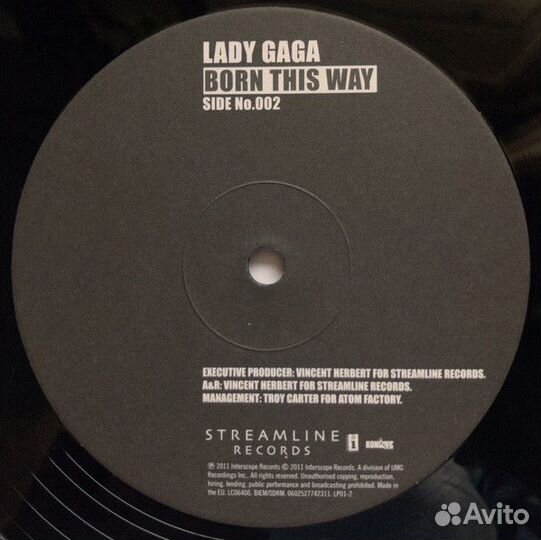 Виниловая пластинка Lady Gaga, Born This Way