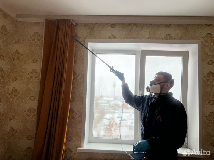 Уничтожение тараканов и травля клопов