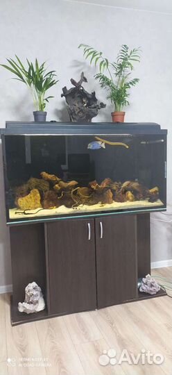 Аквариум с тумбой б/у