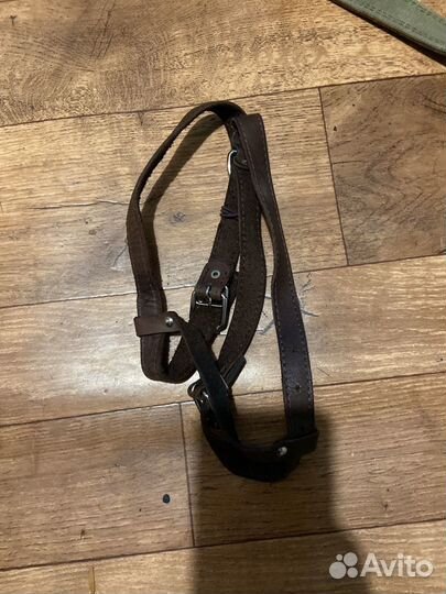 Шлейка, ошейник