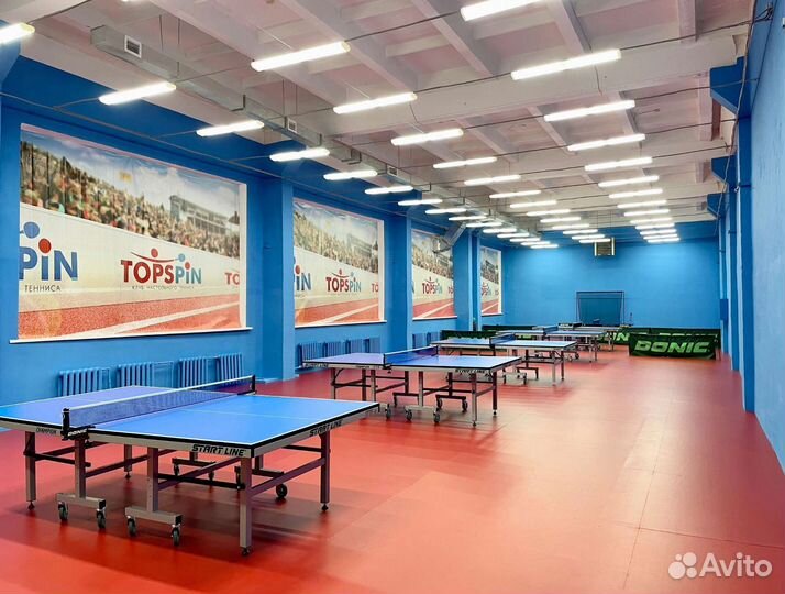 Аренда стола для настольного тенниса