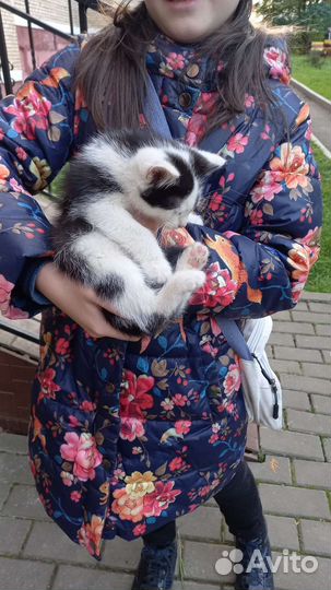 Мальчик ищет семью