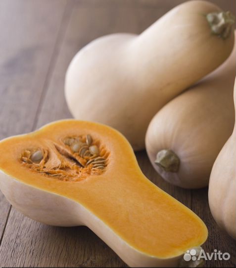 Семена тыквы мускатной