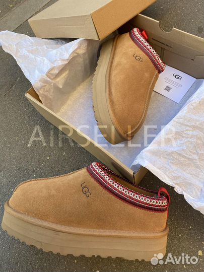 Ugg Tazz tasman chestnut