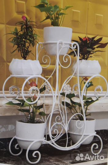 Цветочницы