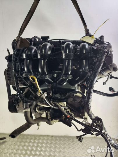 Двигатель Ford Focus 1.6 бензин 2012