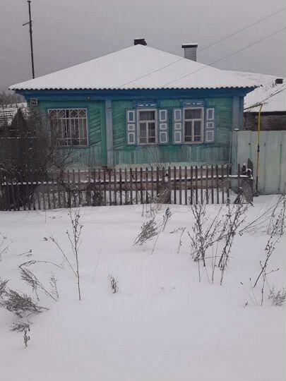 Дом 48 м² на участке 50 сот.