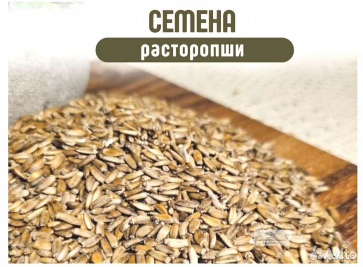 Качественные семена расторопши от производителя