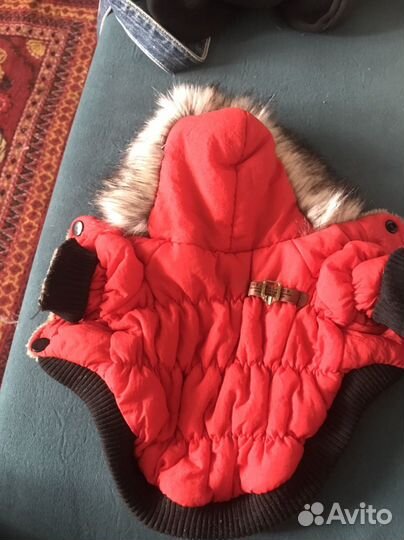 Одежда для собачек зимняя и осенняя