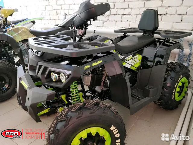 Квадроцикл Motoland ATV 200 wild truck LUX 2 места