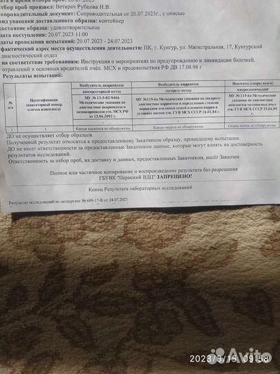 Пчелы в ульях 12ти и 16 рамочные