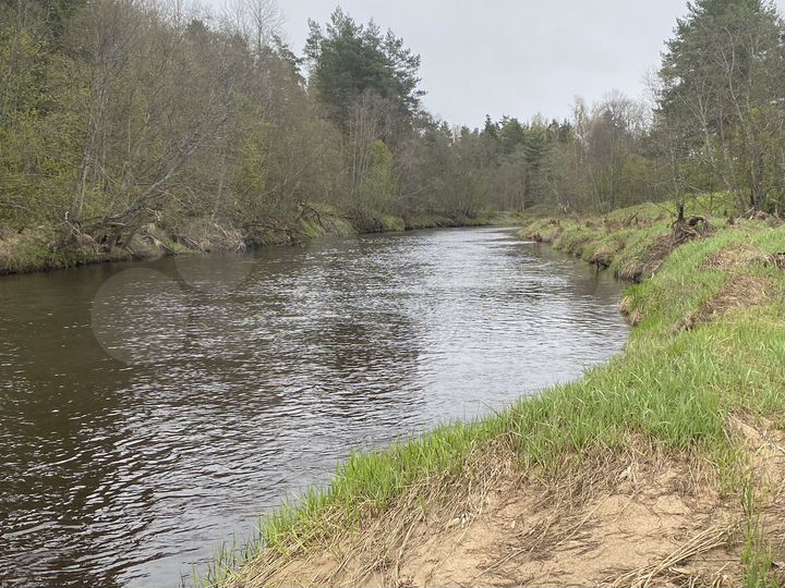 Участок 50 сот. (ИЖС)